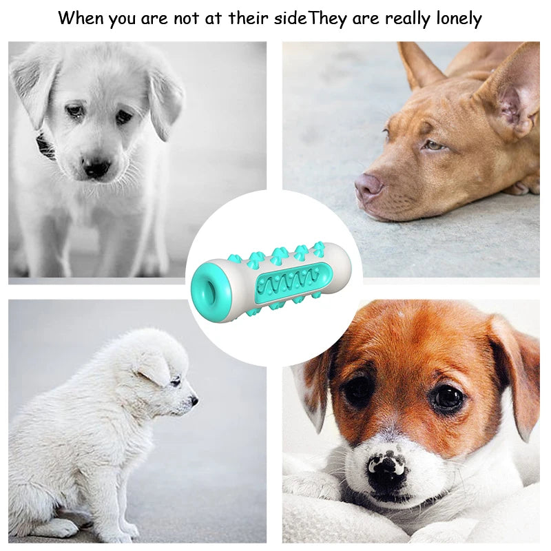 Dog Molar Toothbrush Puppy Safe Molar Stick Cleaning Massager Rubber