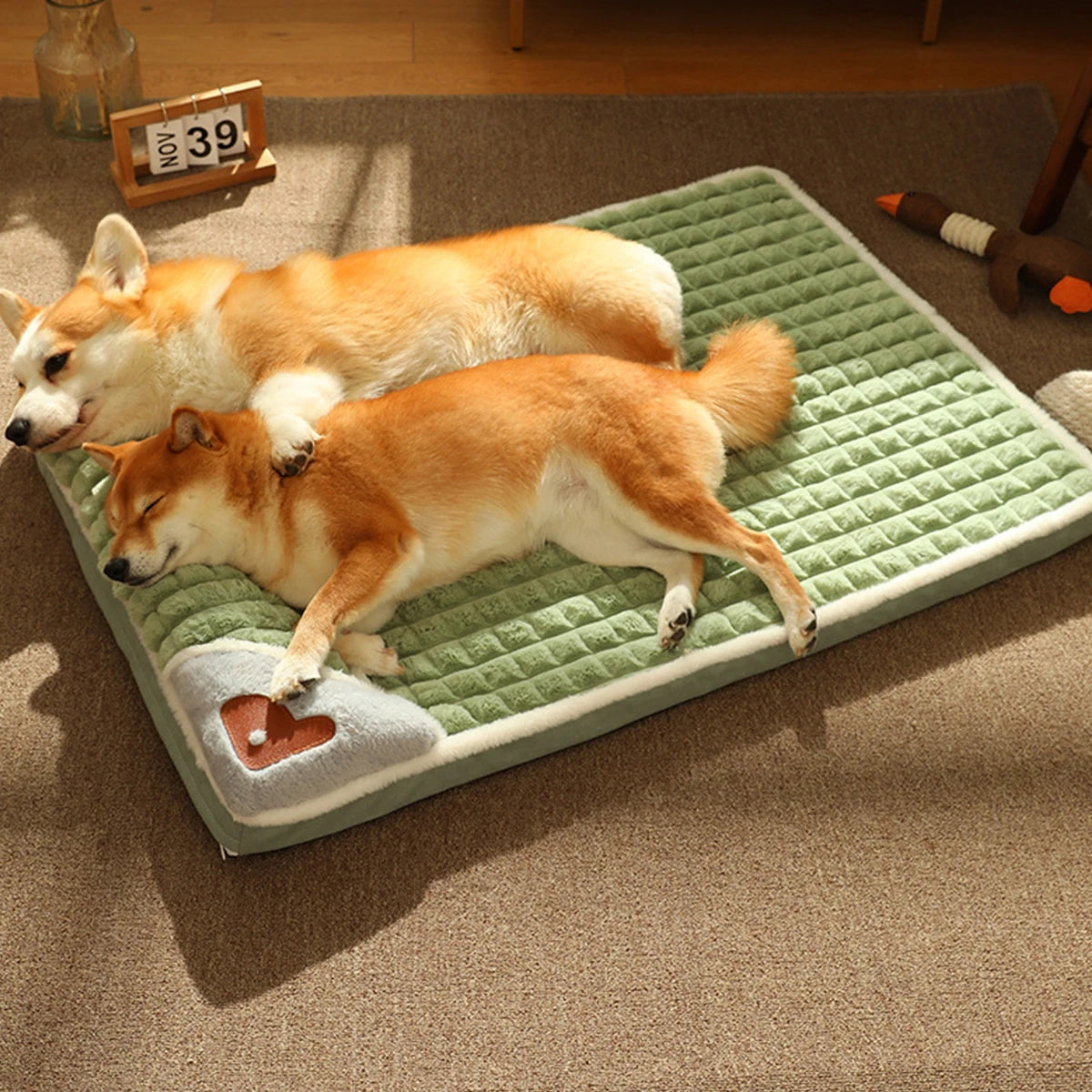 Orthopedic Dog Bed with Pillow