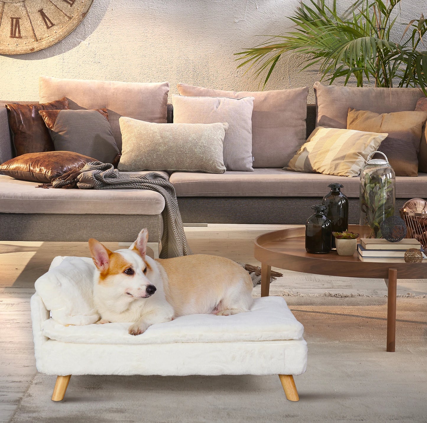 Waterproof Elevated Pet Bed with Cozy Pad for Small Dogs and Cats