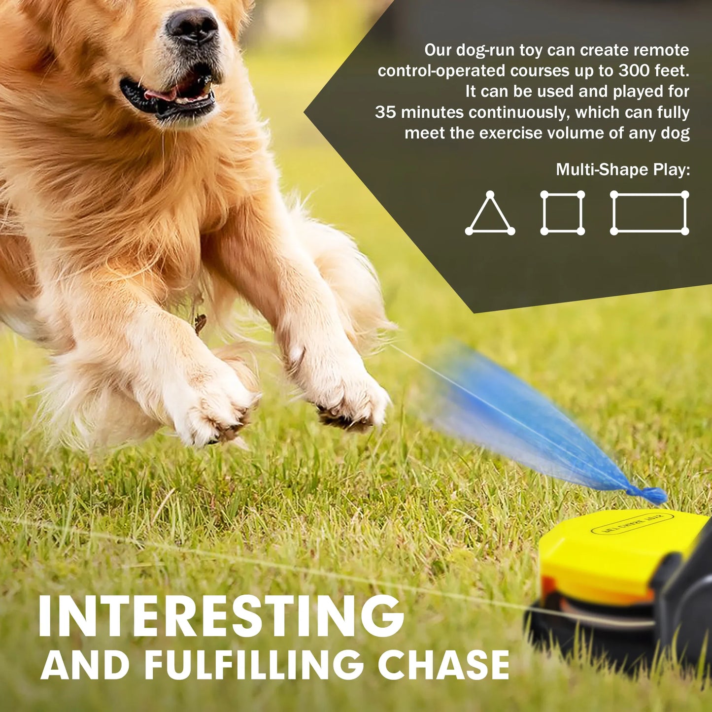 Pet Chase Toys,Interactive Dog Toys,Agility Training Equipment