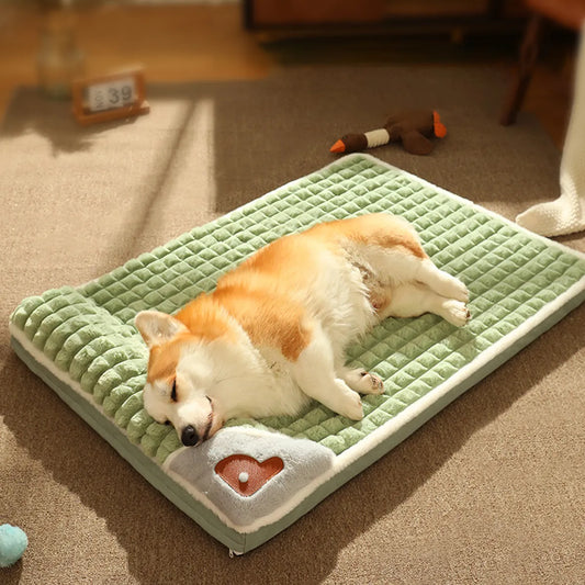 Orthopedic Dog Bed with Pillow