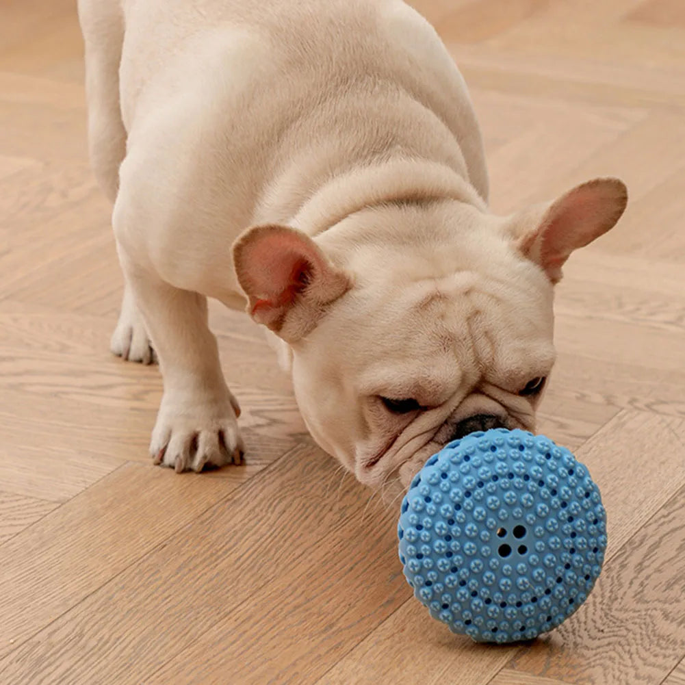 Pet Dog Tooth Cleaning Toy for Small or Large Dogs