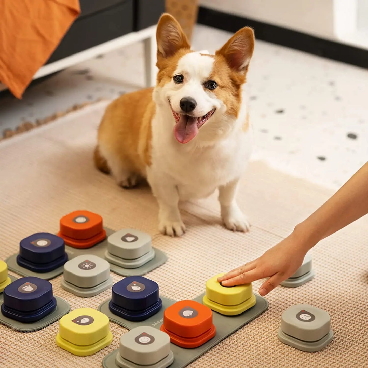 Dog Button Vocal Training Interactive Toy Bell Ringer